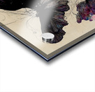 ButterflyEffect01 NoWB Acrylic print