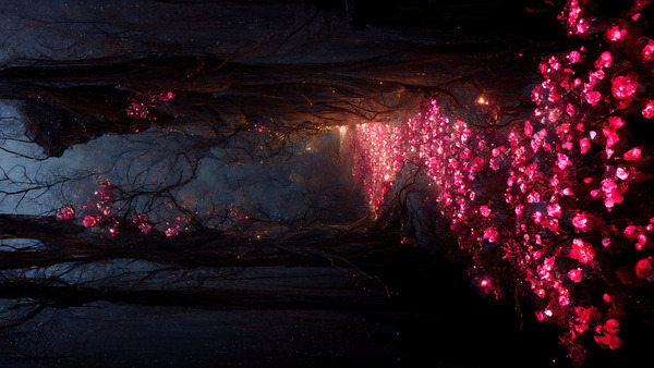 Forever Rose 5 by Jartran F