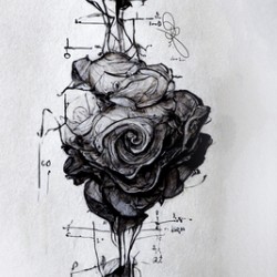 Black Rose Theory - Bright