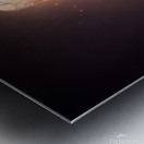 Forever Rose Metal print