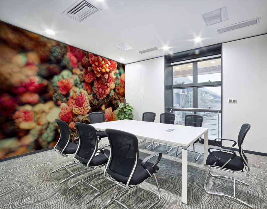 Forever Rose 1 Wall Printing