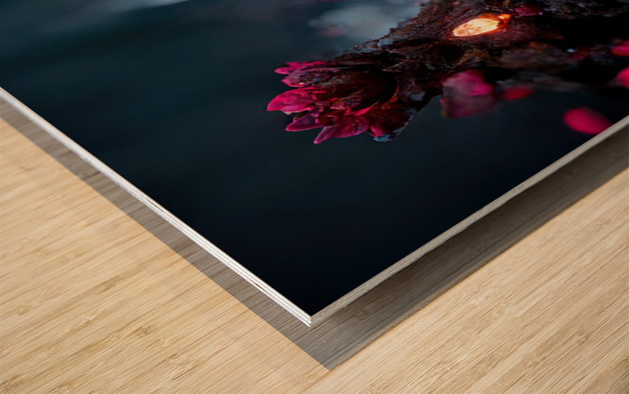 Forever Rose 6 Wood print